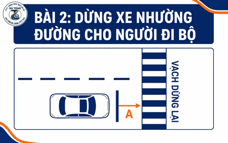 Bài 2. Dừng xe và nhường đường cho người đi bộ