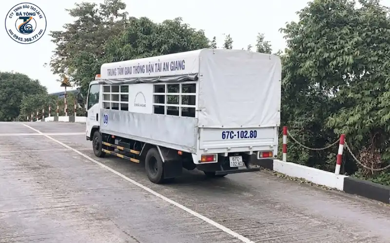 Kinh Nghiệm Thi C1 Cho Tài Mới Đậu Ngay Lần Đầu